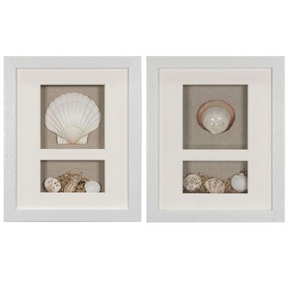 Picture of Sea Shell Beach Shadow Box Wall Décor (2 Piece Set) (MS17376BP/CP) 11.81” L x 11.81” H