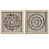 Picture of Sea Shell Rings Shadow Box Wall Décor (2 Piece Set)  (MS47195A/B) 14.17” L x 14.17” H