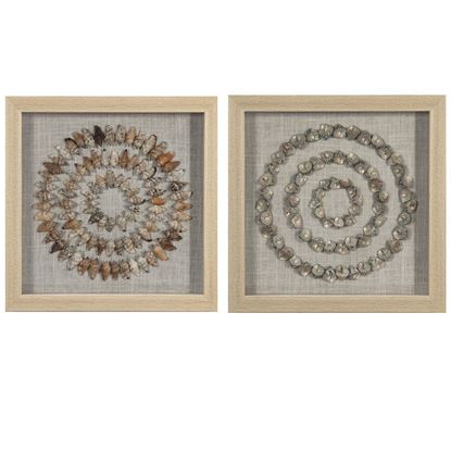 Picture of Sea Shell Rings Shadow Box Wall Décor (2 Piece Set)  (MS47195A/B) 14.17” L x 14.17” H