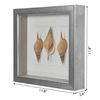 Picture of Sea Shell Shadow Box Wall Décor (2 Piece Set) (MS18027A/B) 11.81” L x 11.81” H