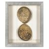 Picture of HUJI Abalone & Pearl Shell Shadow Box Wall Décor Set