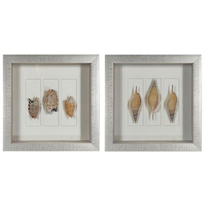 Picture of Sea Shell Shadow Box Wall Décor (2 Piece Set) (MS18027A/B) 11.81” L x 11.81” H