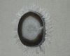 Picture of Quartz Sunflower Shadow Box Wall Décor (MS55451) 15.75" L x 15.75" H