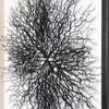 Picture of Tree Roots Shadow Box Wall Decor (MS56022AG) 31.50” L x 31.50” H
