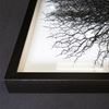 Picture of Tree Roots Shadow Box Wall Decor (MS56022AG) 31.50” L x 31.50” H