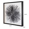 Picture of Tree Roots Shadow Box Wall Decor (MS56022AG) 31.50” L x 31.50” H