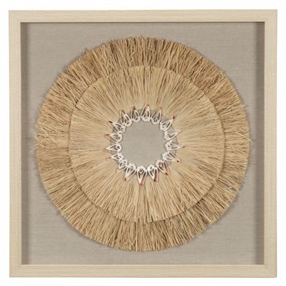 Picture of HUJI Weed & Sea Shell Shadow Box Wall Décor