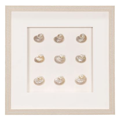 Picture of HUJI Pearlescent Sea Shell Shadow Box Wall Decor (MS47772A)