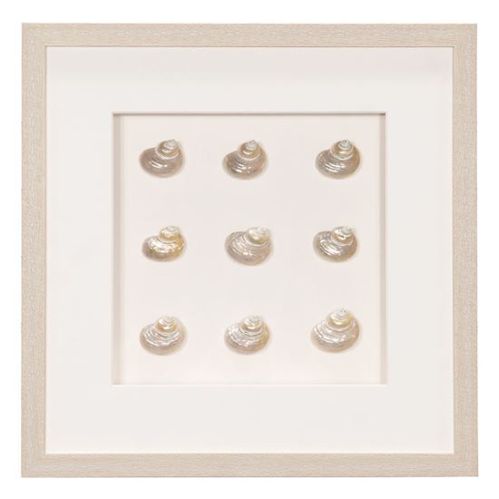 Picture of HUJI Pearlescent Sea Shell Shadow Box Wall Decor (MS47772A)