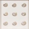 Picture of HUJI Pearlescent Sea Shell Shadow Box Wall Decor (MS47772A)