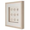 Picture of HUJI Pearlescent Sea Shell Shadow Box Wall Decor (MS47772B)