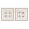 Picture of HUJI Pearlescent Sea Shell Shadow Box Wall Décor Set of 2 (MS47773A/B)