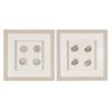 Picture of HUJI Pearlescent Sea Shell Shadow Box Wall Décor Set of 2 (MS47773A/B)