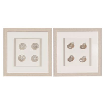 Picture of HUJI Pearlescent Sea Shell Shadow Box Wall Décor Set of 2 (MS47773A/B)