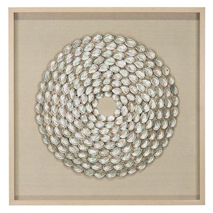 Picture of Oversized Abalone Shell Rings Shadow Box Wall Décor (MS47779A)