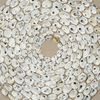 Picture of Oversized Oyster Shell Rings Shadow Box Wall Décor (MS47779B)