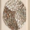 Picture of Abalone Shell Shadow Box Wall Décor (MS56534B)