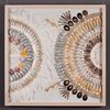 Picture of Oversized Seashell & Feather Handmade Wall Décor Shadow Box Wall Art