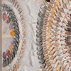 Picture of Oversized Seashell & Feather Handmade Wall Décor Shadow Box Wall Art