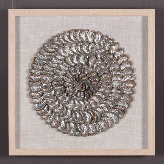 Picture of Abalone Shell Rings Handmade Wall Décor Shadow Box Wall Art