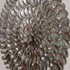 Picture of Abalone Shell Rings Handmade Wall Décor Shadow Box Wall Art