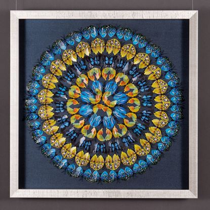 Picture of Handmade Butterfly Wall Décor Shadow Box Wall Art